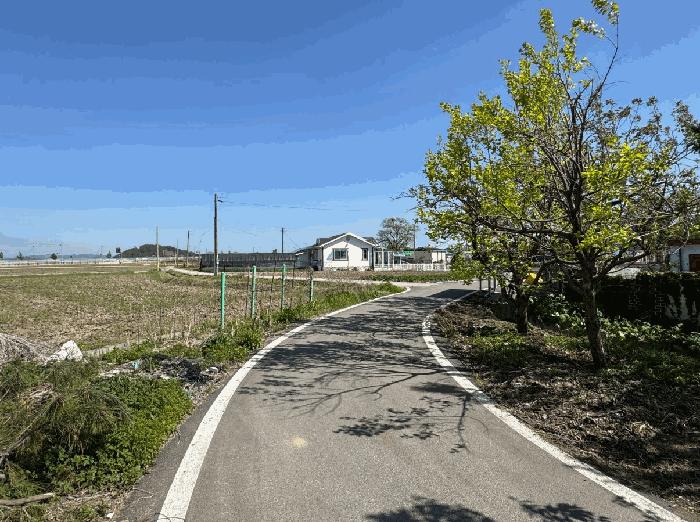 충남 예산군 삽교읍 신리 395 전 사진 6