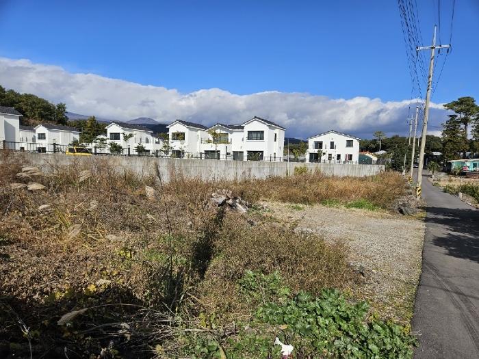 2024타경13465 법원경매 사진4 | 제주 서귀포시 과수원 경매