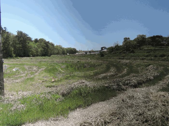 2025타경15653 법원경매 사진2 | 충남 홍성군 답 경매