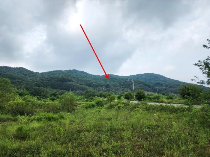 2024타경57413 법원경매 사진11 | 충남 서산시 대지 경매