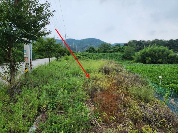 2024타경57413 법원경매 사진12 | 충남 서산시 대지 경매