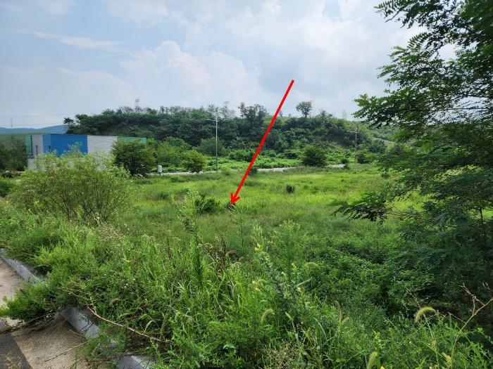2024타경57413 법원경매 사진17 | 충남 서산시 대지 경매