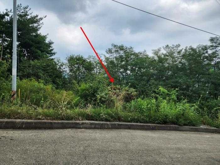 충남 서산시 운산면 고산리 333-3 대지 사진 4