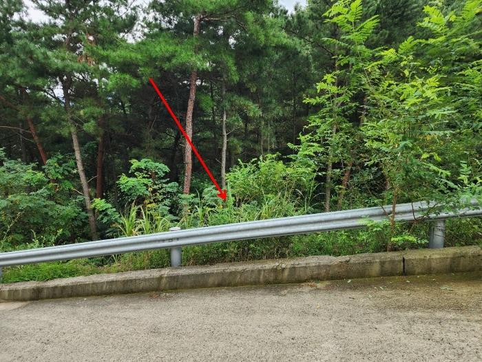 충남 서산시 운산면 고산리 333-3 대지 사진 6