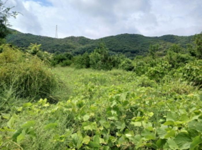 2024타경57413 법원경매 사진61 | 충남 서산시 대지 경매