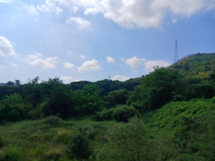 2024타경57413 법원경매 사진77 | 충남 서산시 대지 경매