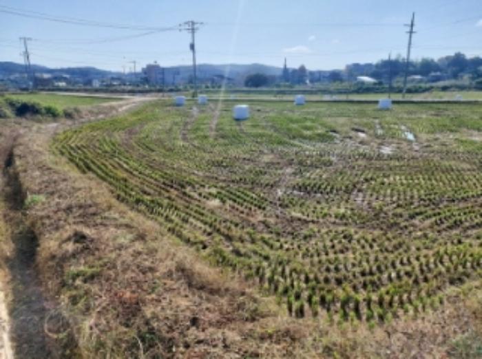 2024타경59860 법원경매 사진44 | 충남 당진시 임야 경매