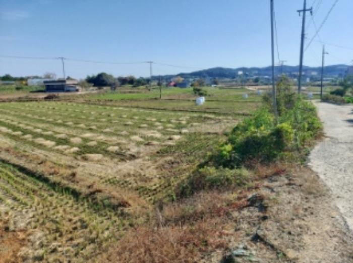 2024타경59860 법원경매 사진52 | 충남 당진시 임야 경매