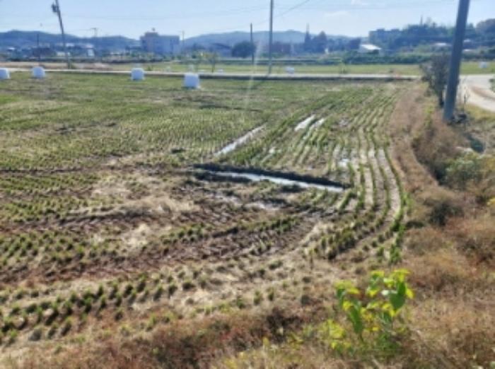 2024타경59860 법원경매 사진65 | 충남 당진시 임야 경매