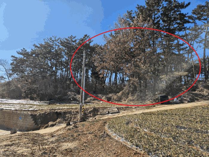 2025타경63 법원경매 사진6 | 충남 태안군 근린시설 경매