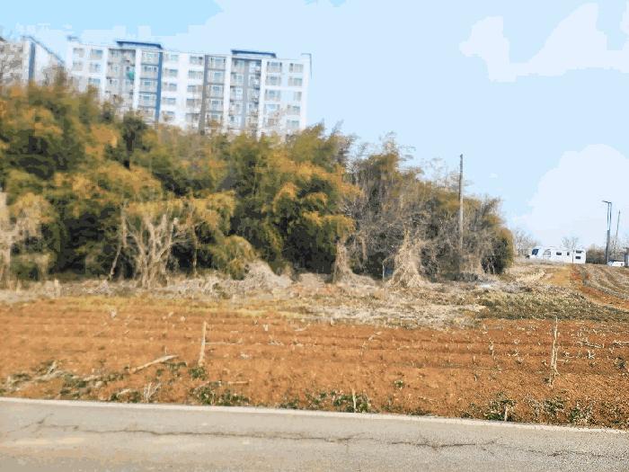 충청남도 당진시 신평면 거산리 22-22 법원경매 물건 대표사진