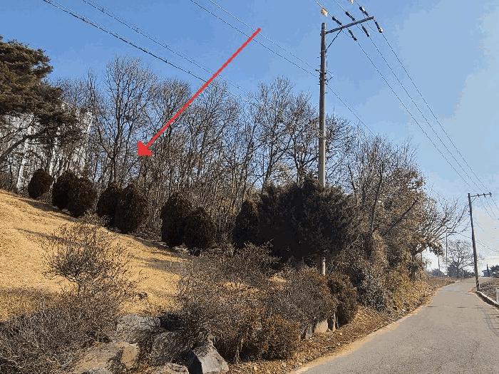 2025타경254 법원경매 사진2 | 충남 당진시 전 경매