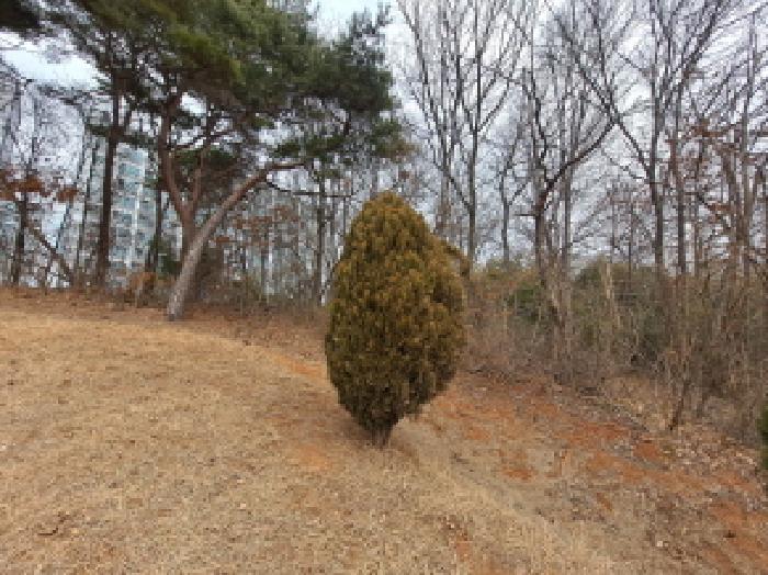 2025타경254 법원경매 사진22 | 충남 당진시 전 경매