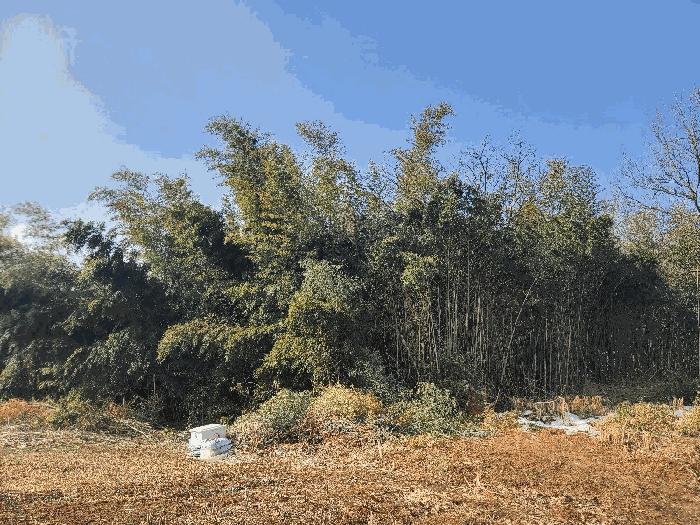 2025타경254 법원경매 사진5 | 충남 당진시 전 경매