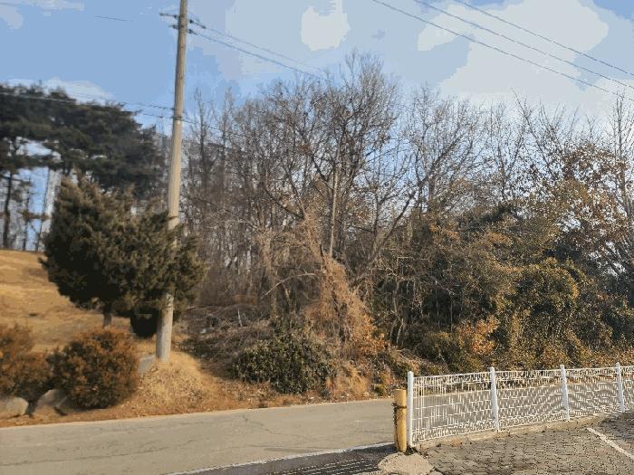 2025타경254 법원경매 사진7 | 충남 당진시 전 경매