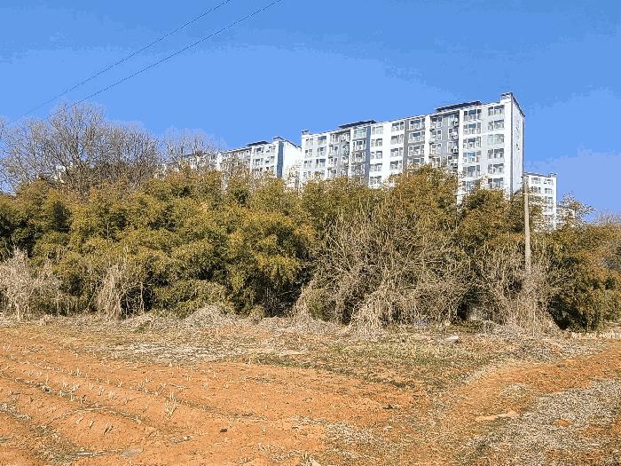2025타경254 법원경매 사진8 | 충남 당진시 전 경매