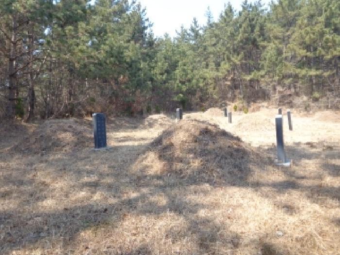 2025타경529 법원경매 사진7 | 충남 서산시 임야 경매