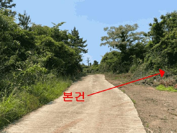 2025타경1263 법원경매 사진2 | 제주 제주시 임야 경매