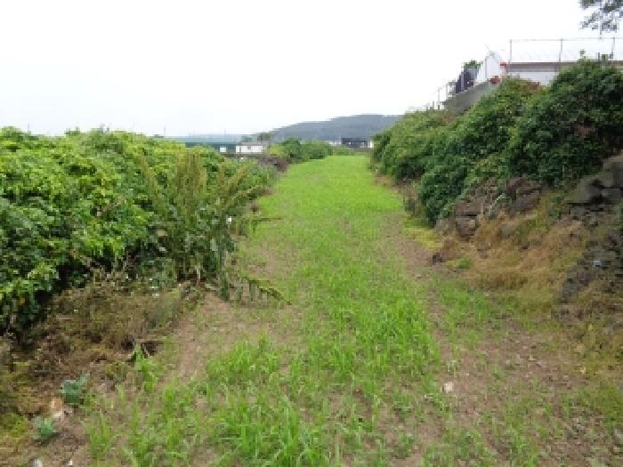 2025타경1273 법원경매 사진7 | 제주 제주시 전 경매