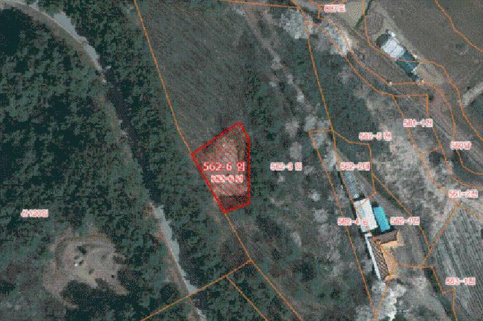 2025타경50785 법원경매 사진3 | 충남 서산시 임야 경매