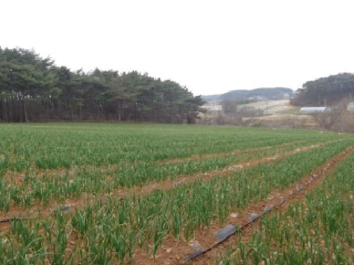 2025타경50945 법원경매 사진5 | 충남 태안군 전 경매