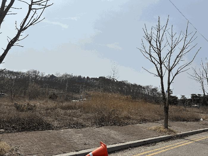 법원경매 2025타경51068 사진5 | 당진시 송산면 동곡리 443 대지 경매