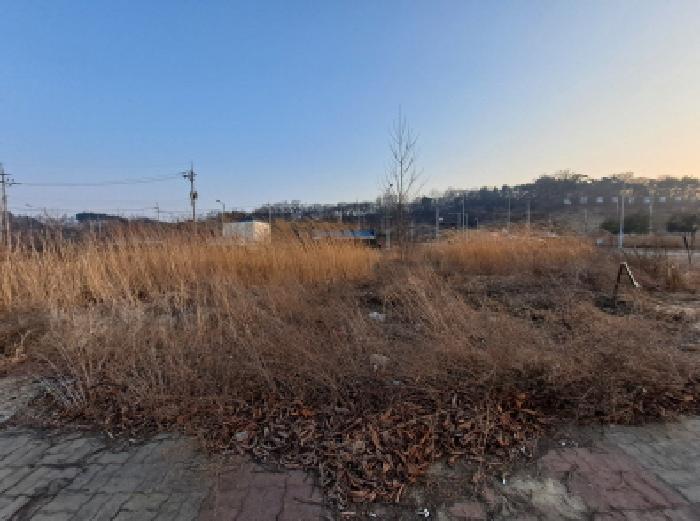 법원경매 2025타경51068 사진7 | 당진시 송산면 동곡리 443 대지 경매