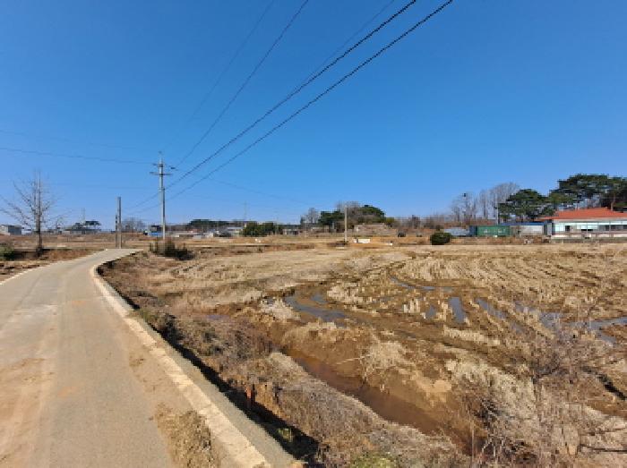 2025타경51085 법원경매 사진3 | 충남 당진시 답 경매