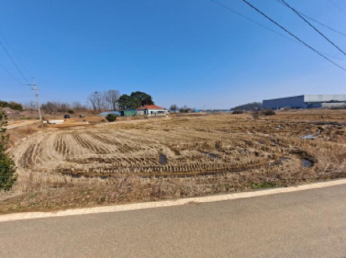 2025타경51085 법원경매 사진4 | 충남 당진시 답 경매