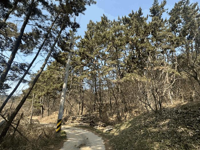 2025타경51139 법원경매 사진4 | 충남 서산시 임야 경매