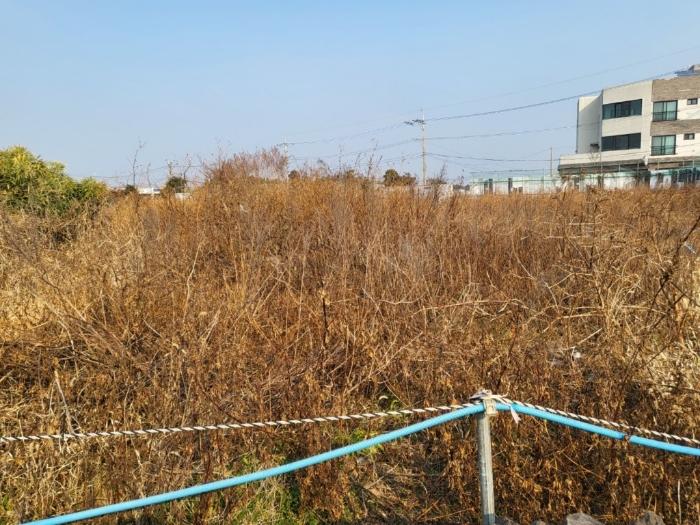 2025타경6037 법원경매 사진5 | 제주 서귀포시 대지,임야,전답 경매