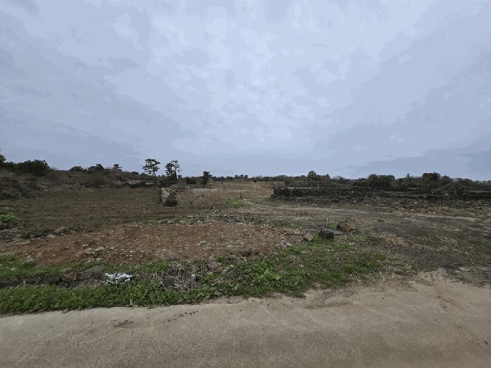 2025타경992 법원경매 사진2 | 제주 제주시 전 경매