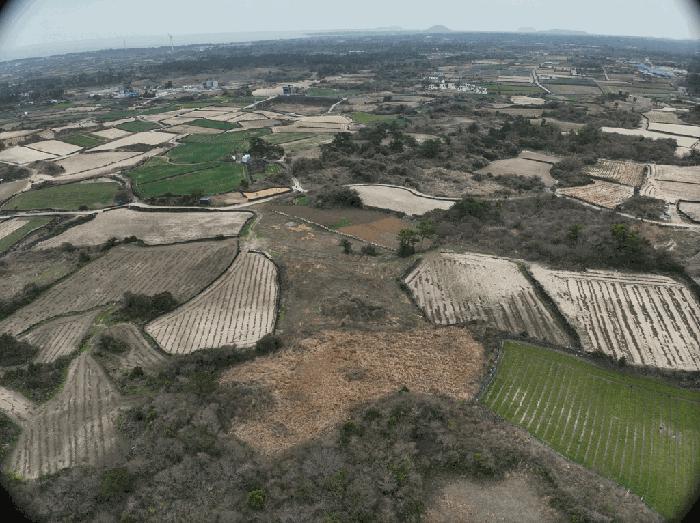 2025타경992 법원경매 사진4 | 제주 제주시 전 경매