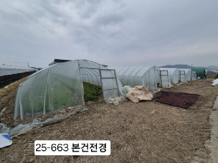 법원경매 2025타경663 사진3 | 부산 강서구 대저2동 5479 답 경매
