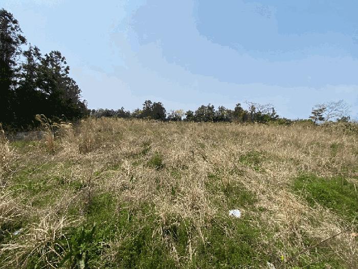 2025타경7805 법원경매 사진5 | 제주 제주시 과수원 경매