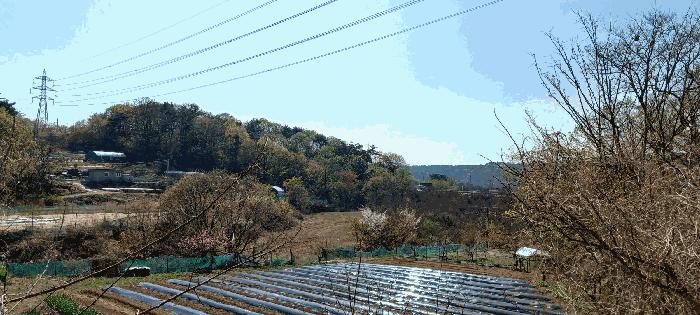 2025타경11565 법원경매 사진4 | 울산 중구 임야 경매