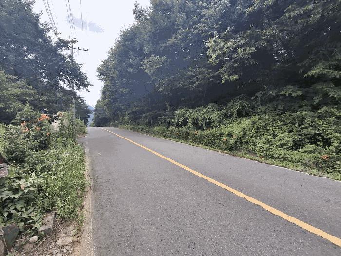 충청북도 괴산군 청천면 도원리 산12-3 법원경매 물건 대표사진