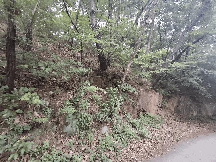2025타경51577 법원경매 사진6 | 충북 괴산군 임야 경매
