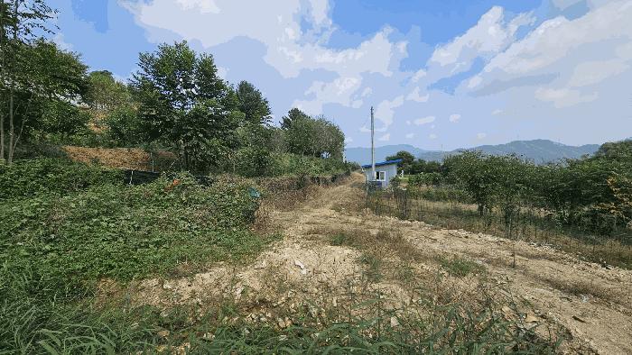 2025타경51794 법원경매 사진3 | 충북 괴산군 전 경매