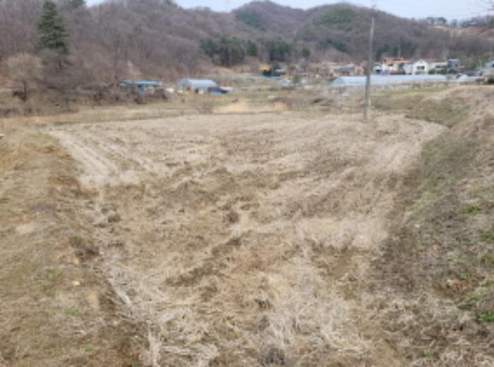경기도 양평군 양서면 신원리 산95 법원경매 물건 대표사진