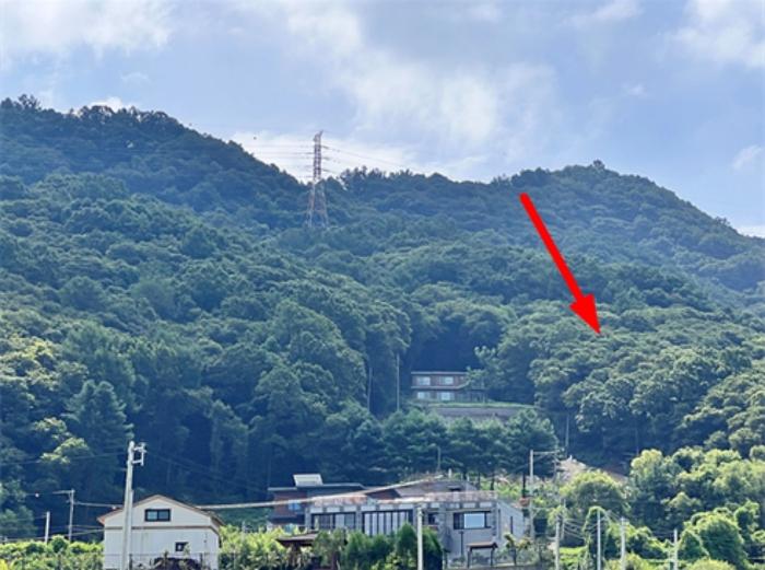 법원경매 2024타경4402 사진3 | 양평군 강하면 전수리 73-22 임야 경매