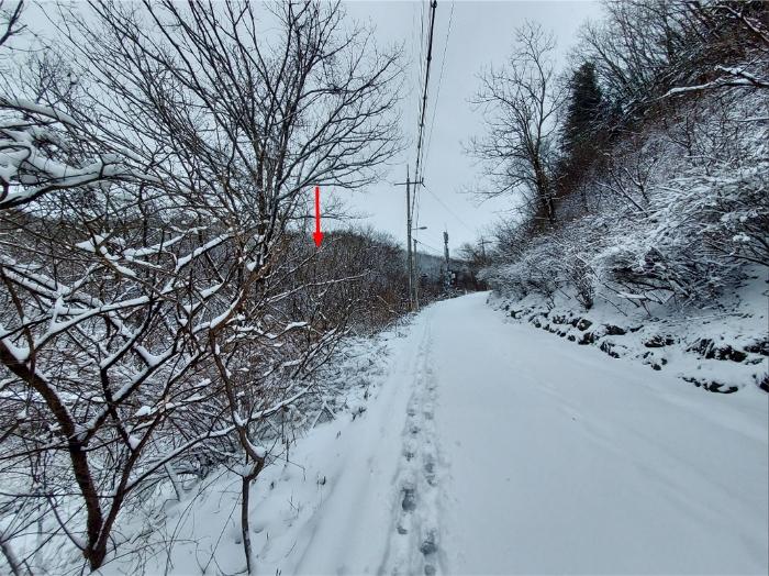 법원경매 2024타경31541 사진4 | 양평군 서종면 문호리 1071-29 임야 경매