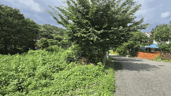 경기도 고양시 덕양구 대자동 610-8 법원경매 물건 대표사진