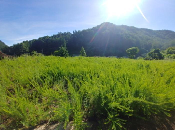 2025타경3661 법원경매 사진40 | 충남 금산군 임야 경매