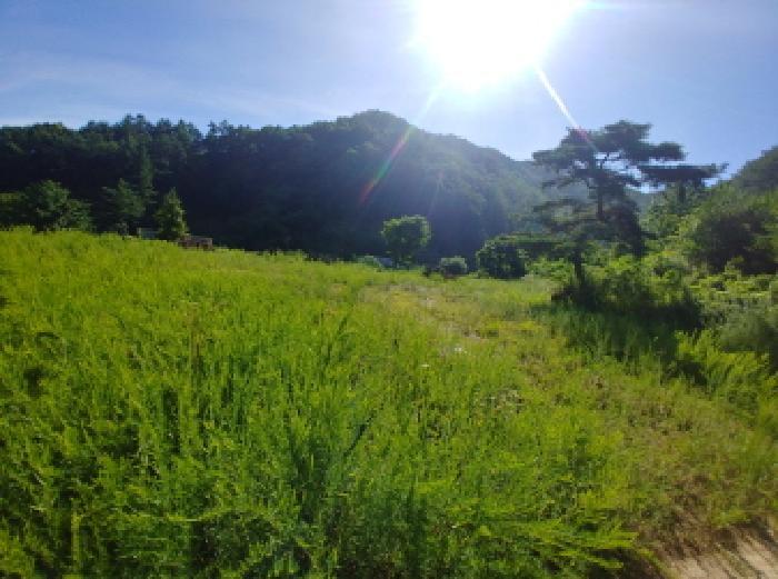 2025타경3661 법원경매 사진41 | 충남 금산군 임야 경매