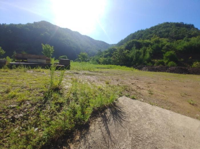 2025타경3661 법원경매 사진43 | 충남 금산군 임야 경매