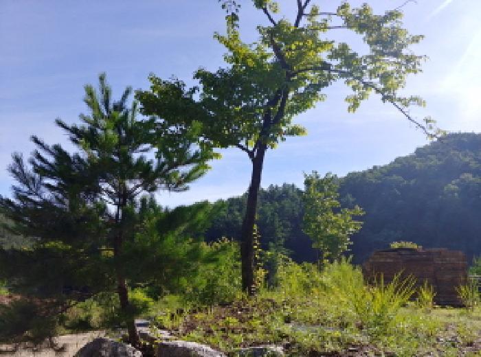 2025타경3661 법원경매 사진52 | 충남 금산군 임야 경매