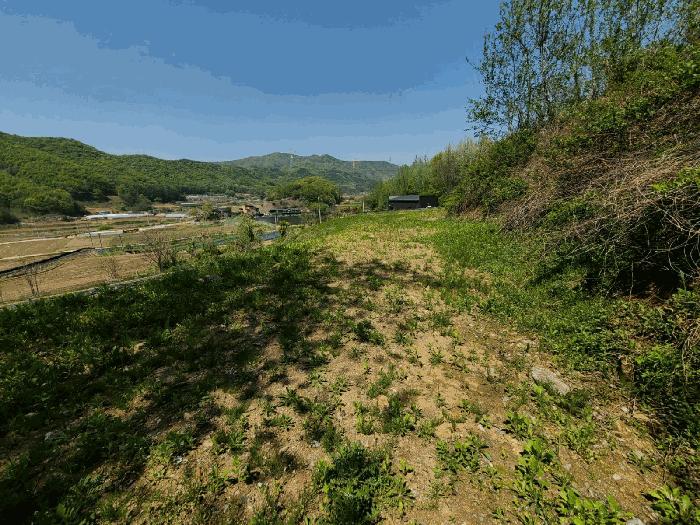 법원경매 2025타경502251 사진28 | 세종 전동면 노장리 237 펜션(캠핑장) 경매