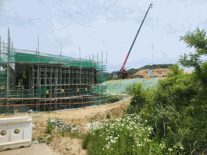 법원경매 2025타경502555 사진5 | 세종 장군면 용암리 임야 경매