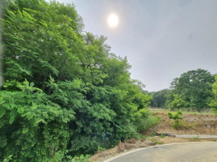 법원경매 2025타경502555 사진52 | 세종 장군면 용암리 임야 경매